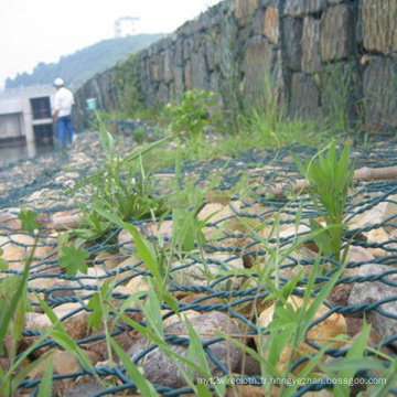 Maille de Gabion de PVC galvanisé par usine de la Chine